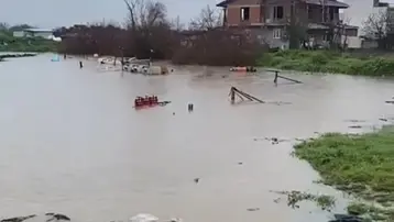 Tarlalar göle döndü, hayvanlar mahsur kaldı