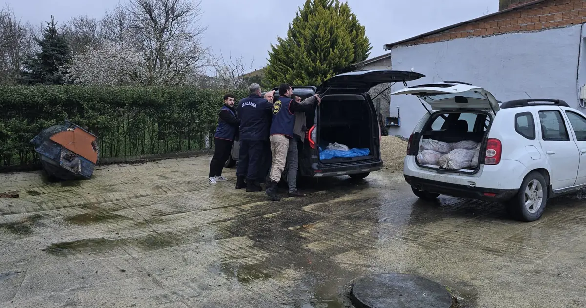 İstanbul'da at eti operasyonu. Silivri'de 306 kilogram ele geçirildi