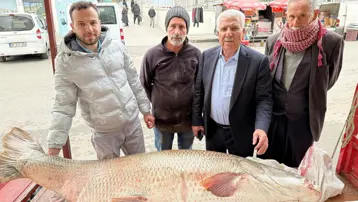 Kilosu 350 liradan satışa sunuldu. Saatler içinde alıcılarına ulaştı