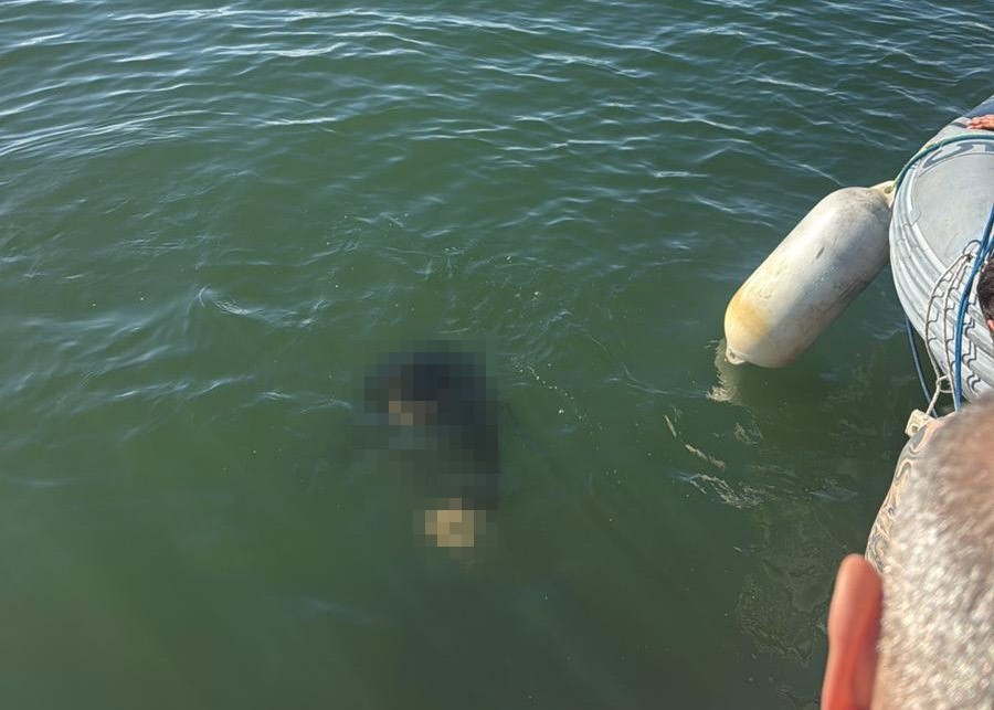 Tekerlekli sandalyesiyle denize düştü: Kurtarılamadı