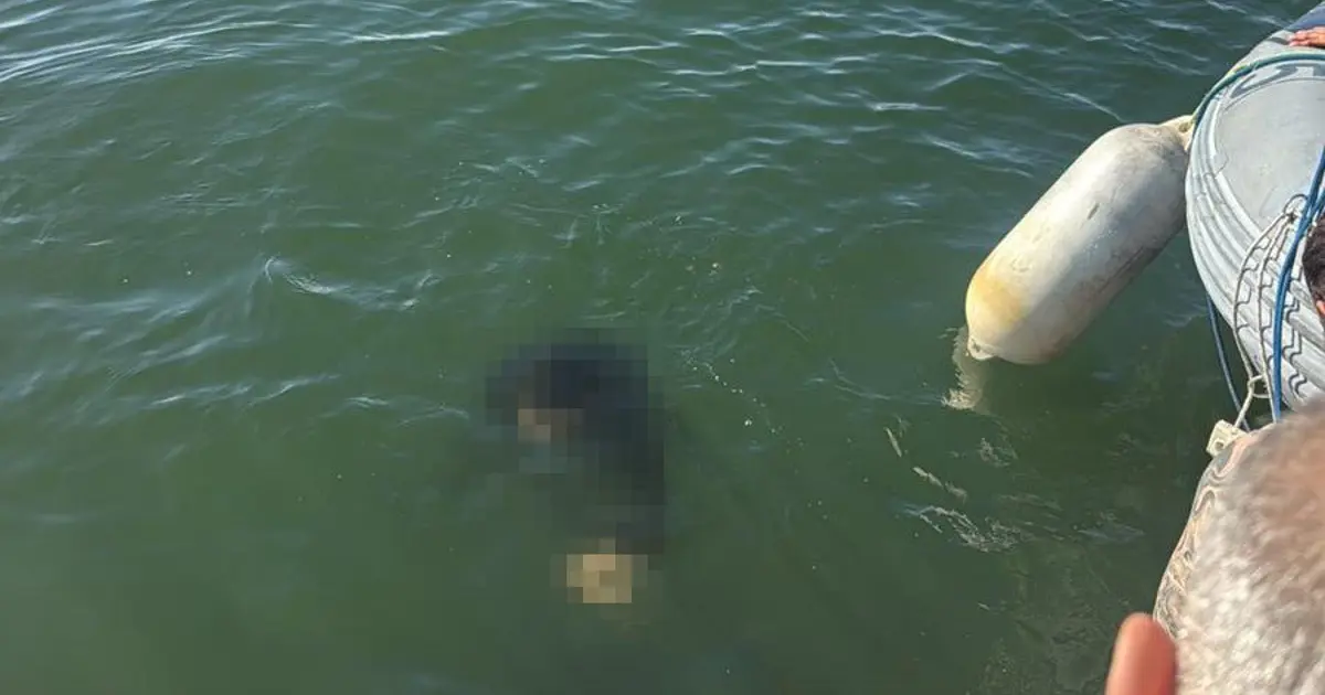 Tekerlekli sandalyesiyle denize düştü: Kurtarılamadı