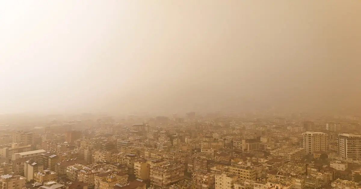 Afrika'dan geliyor, 10 gün sürecek | NTV Haber