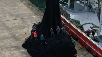 Artık paydos dediler. Bu yıl bolluk yaşanmıştı