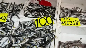Tezgahta bolluk var, fiyatı düştü. Kilosu 100 lira