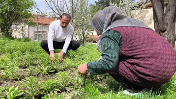 450 bine ulaştı, tek tek sökülerek toplanıyor. 5 bin Euro'dan satıyorlar