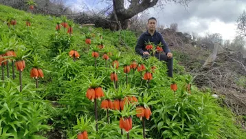 Ömrü 20 gün. Birbirinden farklı isimlerle biliniyor, kopartmanın cezası 700 bin TL