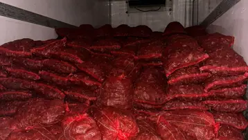 Bursa ve Balıkesir’de tonlarca midye ele geçirildi