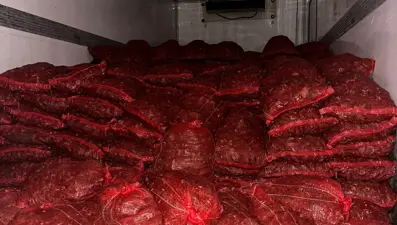 Bursa ve Balıkesir’de tonlarca midye ele geçirildi
