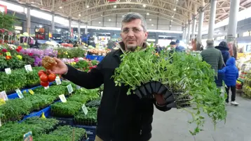 Artık herkes kendisi üretip satıyor. Çığ gibi arttı