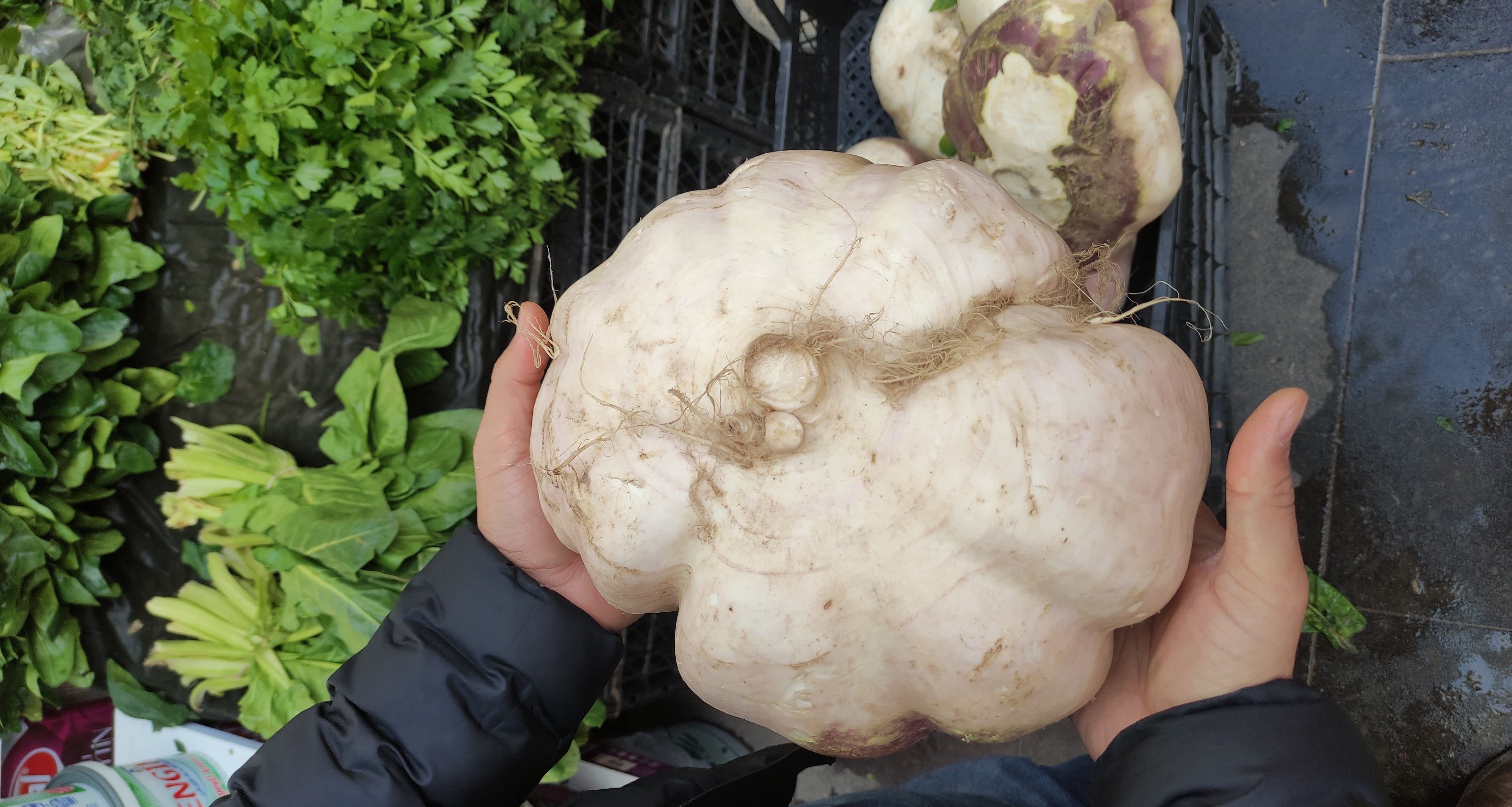Pazarda herkes onu konuşuyor. Terazi tartmakta zorlandı, tam 4 kilo geliyor