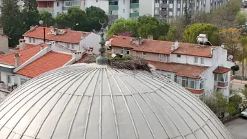 Dile kolay tam 30 yıl. Muğla'da leylekler ile cami cemaati arasındaki kopmayan bağ