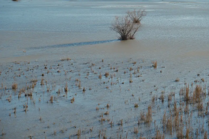 KİRAZ VE VİŞNE ÜRETİMİ İÇİN BÜYÜK ÖNEM TAŞIYOR 1