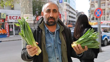 Dağlardan toplanan doğal antibiyotik. Kilosu 100 liradan satılıyor