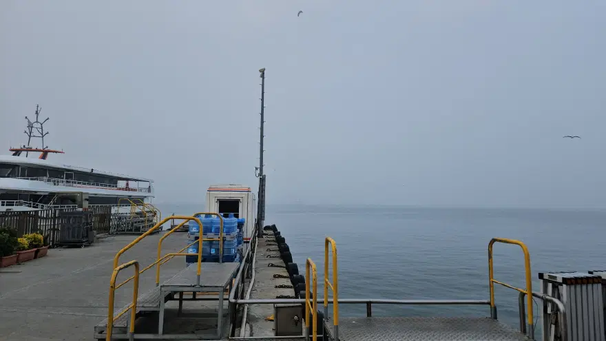 İstanbul'u sis bastı. Boğaz trafiği durdu 3