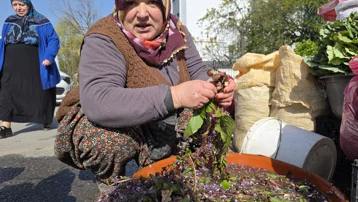 Kendiliğinden yetişiyor, bedava toplanıyor. Talep çok, 1 ton satılıyor