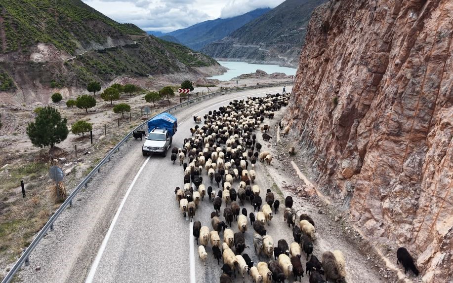Kilometrelerce yol, günlerce süren yolculuk. Yayla yolcuları karayoluna indi