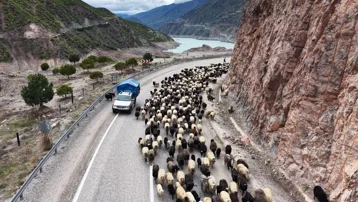 Kilometrelerce yol, günlerce süren yolculuk. Yayla yolcuları karayoluna indi