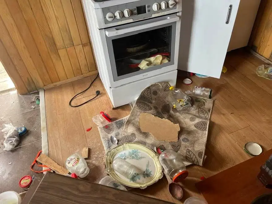 Kış uykusu bitti, ayılar evlere adandı. Tehlike tırmanıyor, vatandaş önlem talep ediyor 