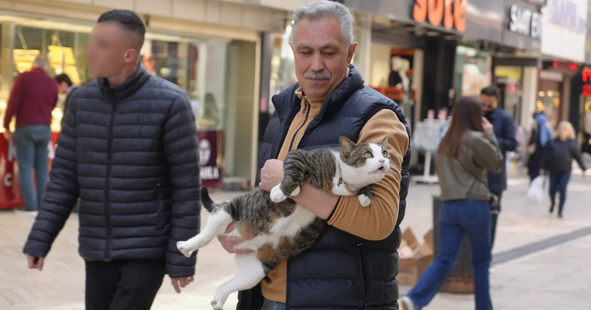 Ağır yaralı halde hayata tutunmuştu, esnafın göz bebeği oldu