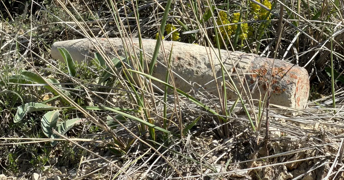 Mantar toplarken buldular. Ankara’da patlamamış top mermisi bulundu