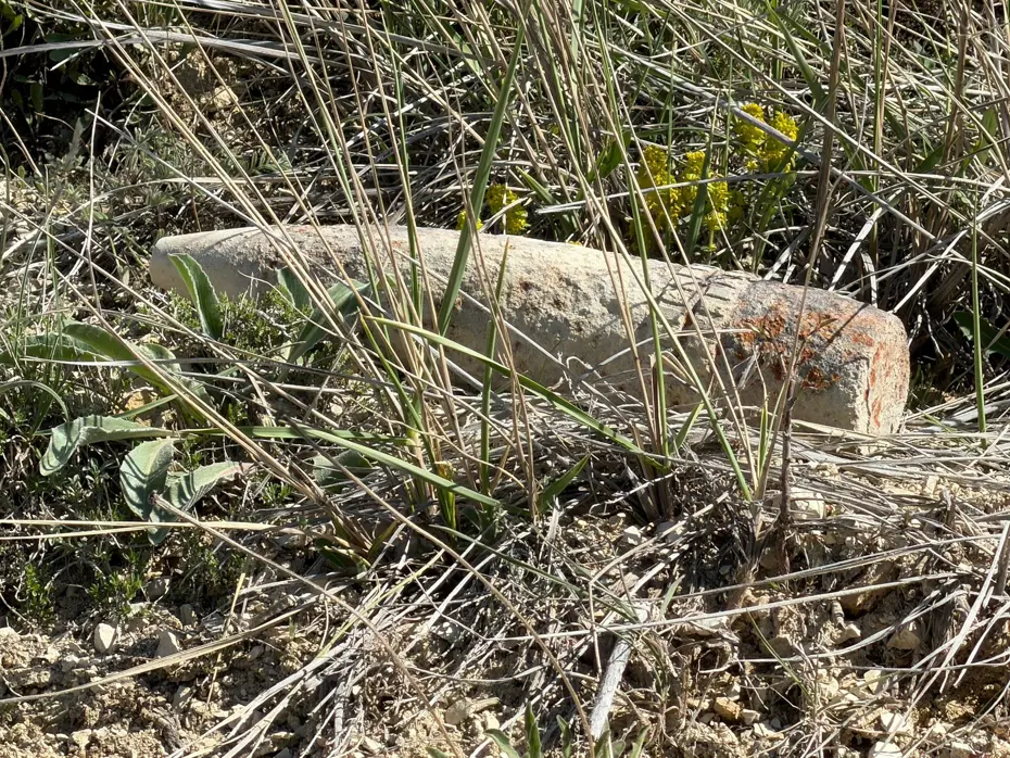 Mantar toplarken buldular. Ankara’da patlamamış top mermisi bulundu