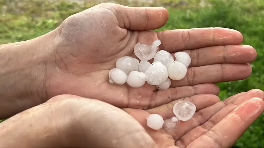 "KAFAMIZA DÜŞTÜ, CANIMIZ ACIDI" 2 "KAFAMIZA DÜŞTÜ, CANIMIZ ACIDI" 2