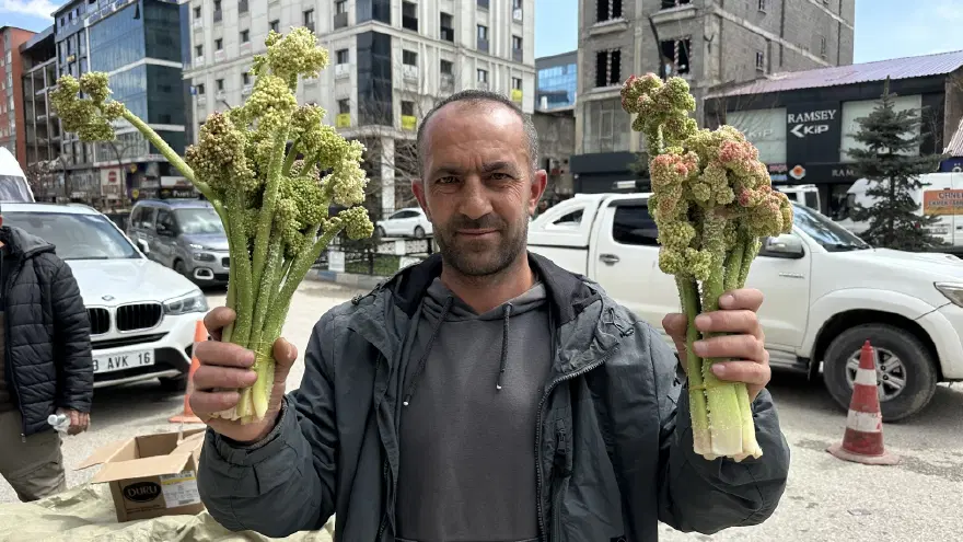 ''İLK ÜRÜNLER DERECİK'TEN GELDİ'' 2 ''İLK ÜRÜNLER DERECİK'TEN GELDİ'' 2