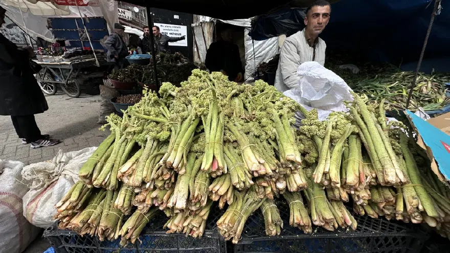 ''Revas'' adıyla da biliniyor. Havalar ısındıkça fiyatı düşecek, destesi 150 TL'ye satılıyor ''Revas'' adıyla da biliniyor. Havalar ısındıkça fiyatı düşecek, destesi 150 TL'ye satılıyor