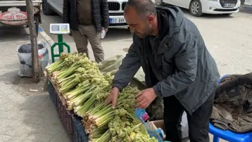''Revas'' adıyla da biliniyor. Havalar ısındıkça fiyatı düşecek, destesi 150 TL'ye satılıyor