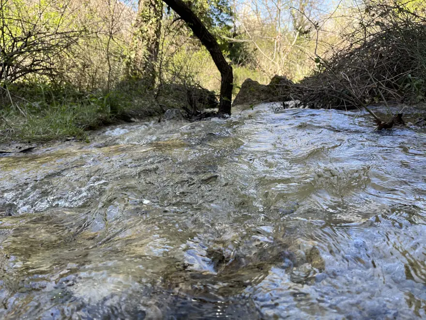 Halk arasında "Gümgüm" olarak biliniyor. Görenler hayran kalsa da yerini az kişi biliyor 1