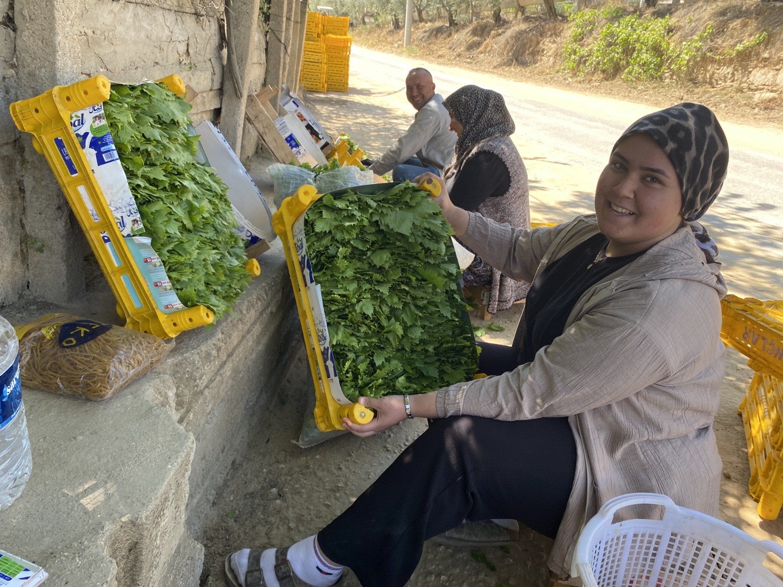 Kendisi 90 TL, yaprağı 120 TL
