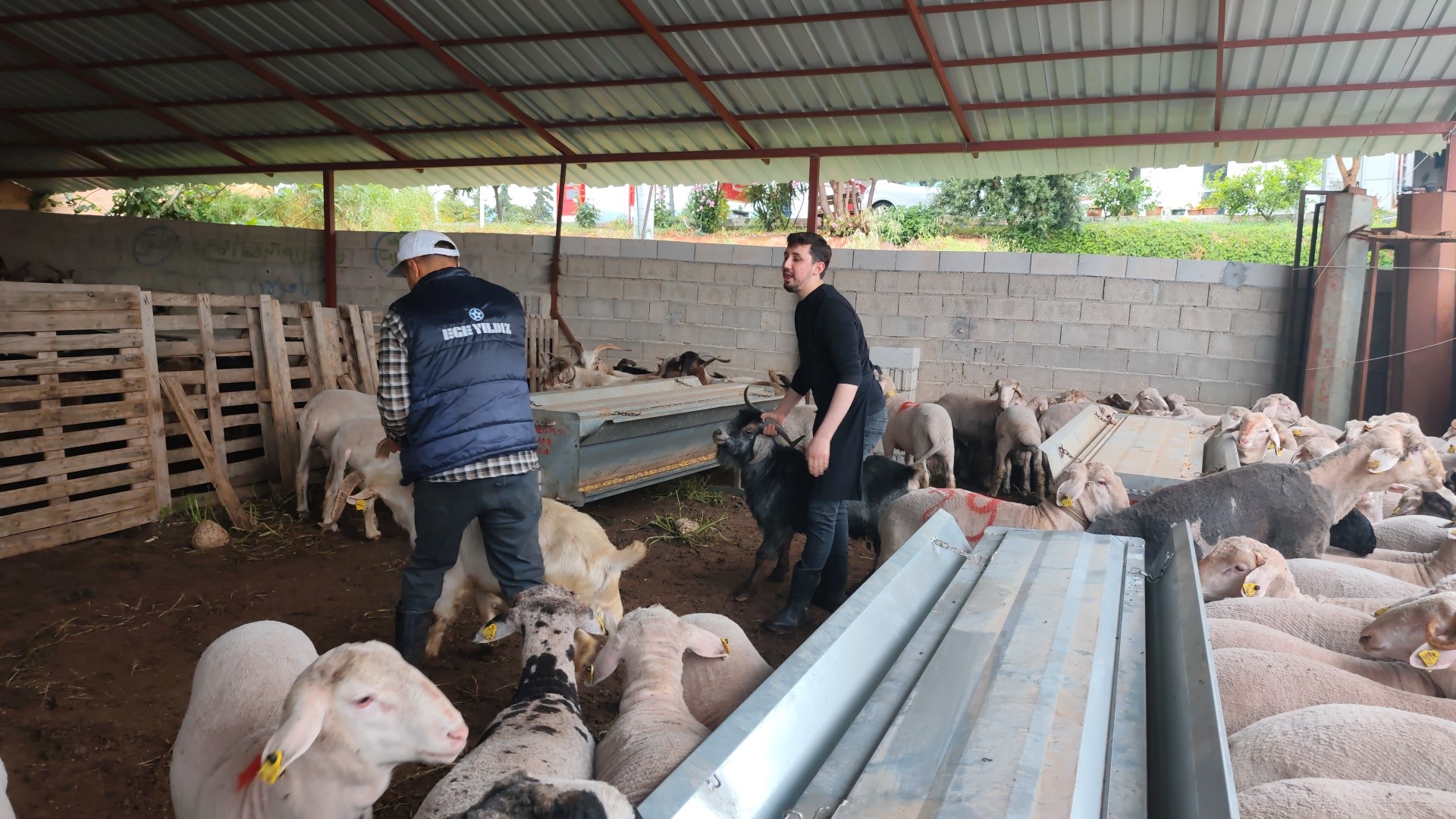 130 bin liradan 400 bin liraya kadar çıkıyor. Çetin pazarlıklar başladı