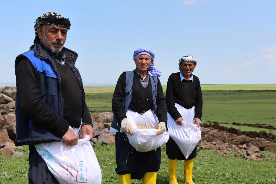 TOHUMUNUN TONU TAM 140 BİN LİRA 1 TOHUMUNUN TONU TAM 140 BİN LİRA 1