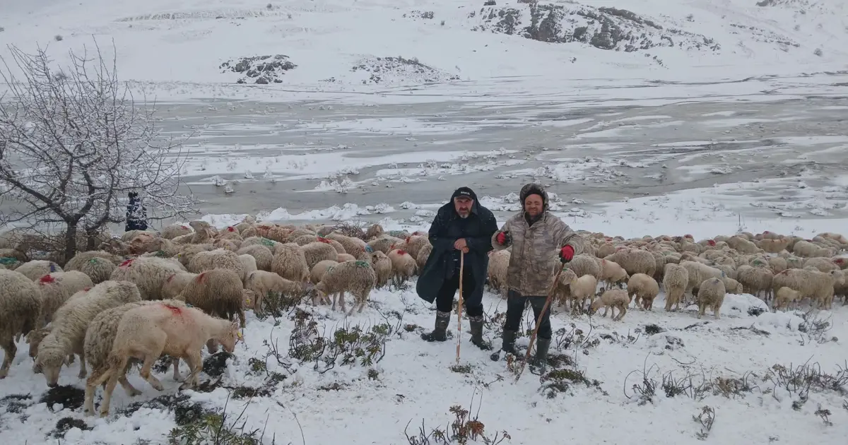 Tipi ve heyelan nedeniyle 2 çoban ve 650 küçükbaş yaylada mahsur kaldı