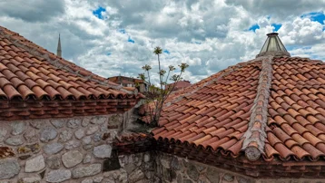 Çatıda yetişiyor. Defalarca kesildi, kurudu, yine yeşerdi