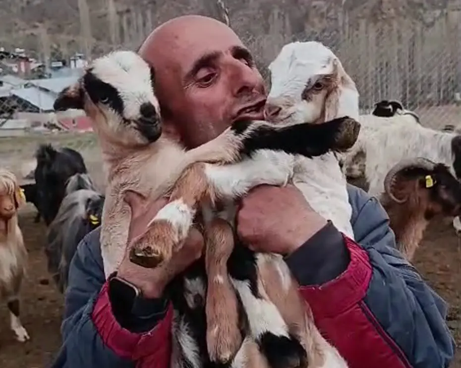 Fenomen çobanın oğlak sevgisi yürekleri ısıttı
