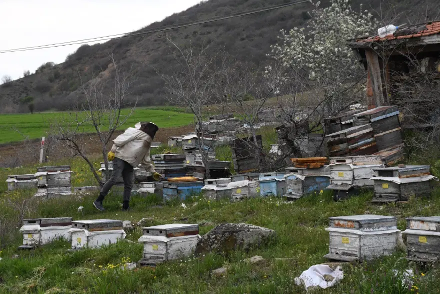 Dedesinden öğrendi, köyünde sürdürüyor. Fiyatı bin 500 liraya kadar çıkıyor 1 Dedesinden öğrendi, köyünde sürdürüyor. Fiyatı bin 500 liraya kadar çıkıyor 1