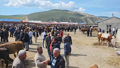 En ucuzu 12, en pahalısı 600 bin TL. Hayvan çok ama satış yok