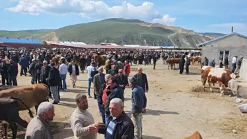En ucuzu 12, en pahalısı 600 bin TL. Hayvan çok ama satış yok