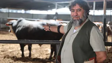 Ağırlığı 1 ton, fiyatı 500 bin TL. Yarım milyona alıcı buldu