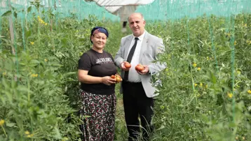 Eskiler dangalak derdi, şimdi sofranın gözdesi oldu. Kilosu pazarda 100 lira
