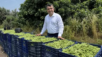 Bin dönüm araziye ekimi yapılmıştı, bereketli hasat için kollar sıvandı
