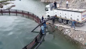 Adıyaman'da üretiliyor, Amerika'ya satılıyor