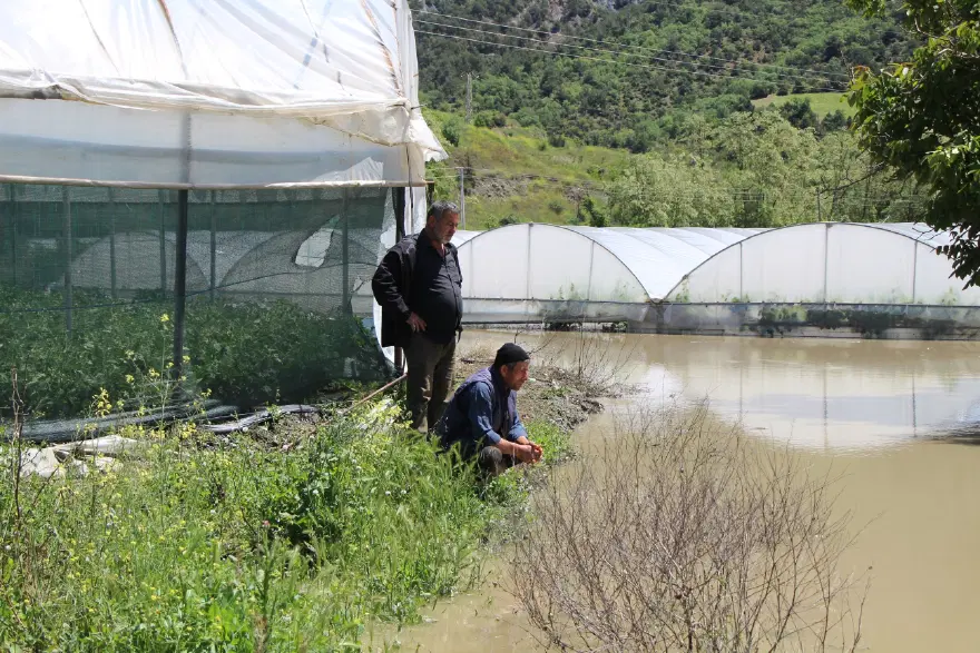 Hasat başlamadan sezon kapandı. 500 dönüm arazi sulara gömüldü "Perişanız" 