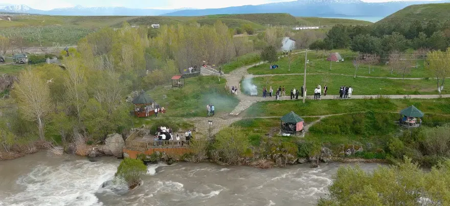Görmeye gelen eli boş döndü. Dünyada sadece Van Gölü’nde yaşıyor 1 Görmeye gelen eli boş döndü. Dünyada sadece Van Gölü’nde yaşıyor 1