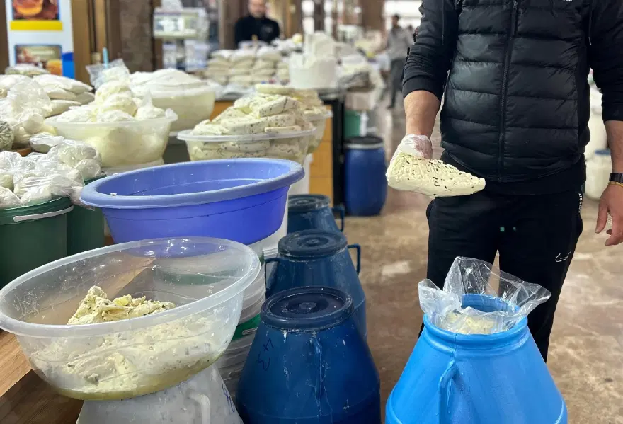Heliz, mendi, sirmo... Kilosu 350 liradan başlıyor. Yoğun yağışların ardından sezonu erken açtı 2