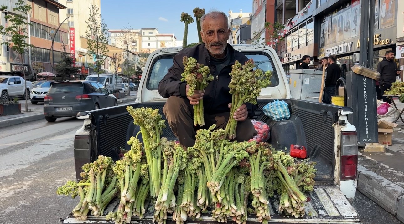 Tezgahta yerini aldı, kilosu 100 TL. Dağların dik yamaçlarında yetişen şifalı bitki kapış kapış satılıyor