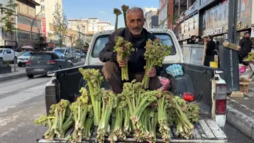 Tezgahta yerini aldı, kilosu 100 TL. Dağların dik yamaçlarında yetişen şifalı bitki kapış kapış satılıyor