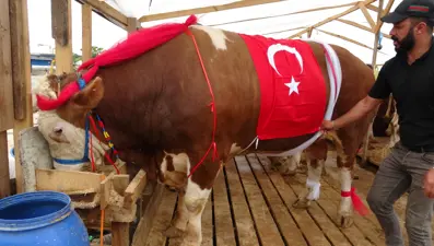 "Kral" görücüye çıktı, fiyatı belli oldu. "Rakibi yok, İstanbul'da tek"