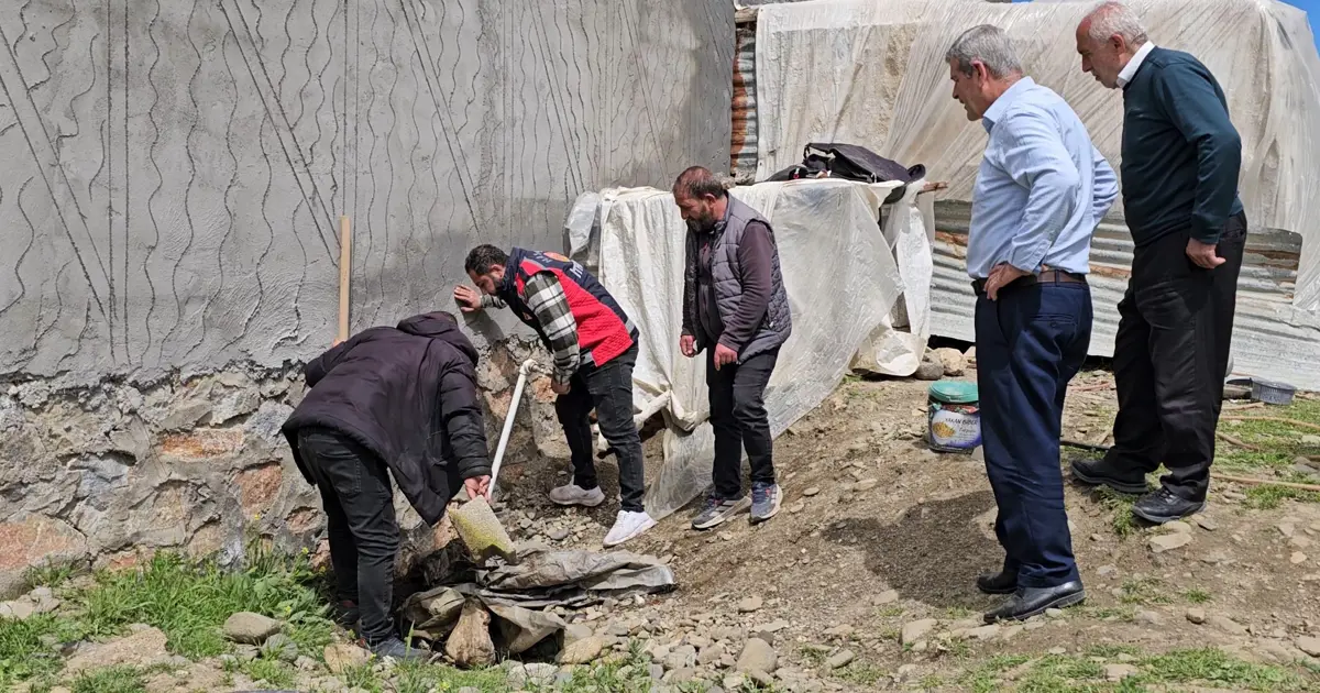 3 metrelik yılan mahalleyi korkuttu: Belediye ekipleri müdahale etti
